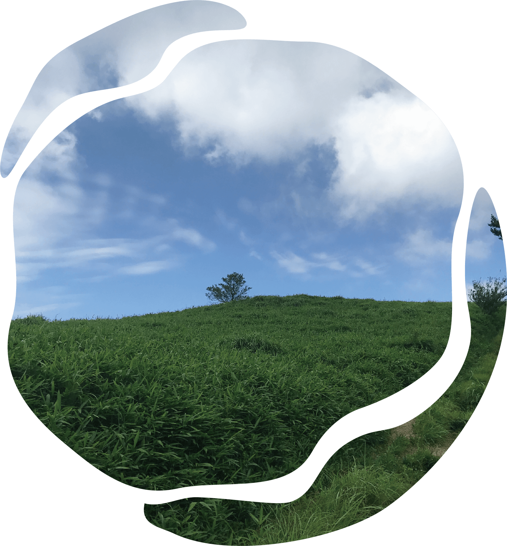 地球型に切り抜かれた山からの景色