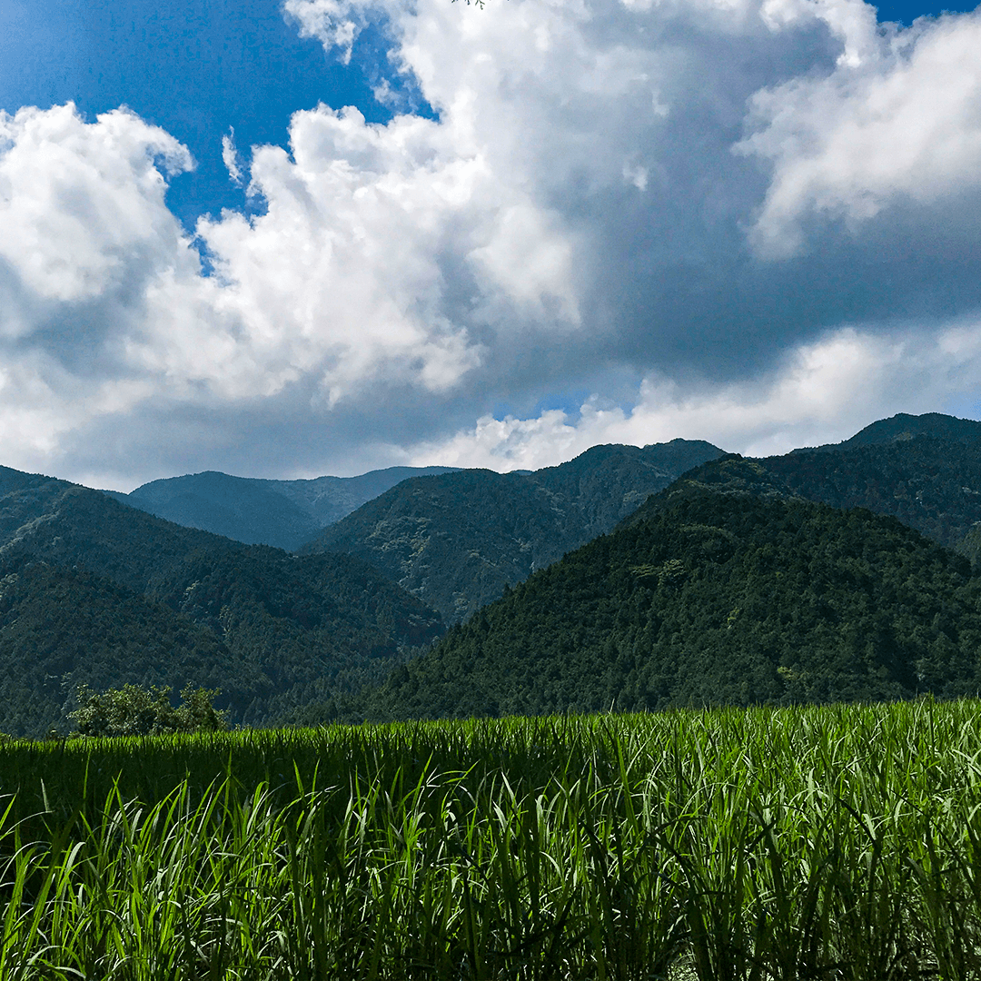 山と雲と空と草の風景